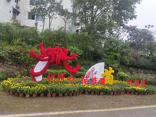 黃陂五色草造型